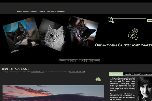 timida.de site used Blossom