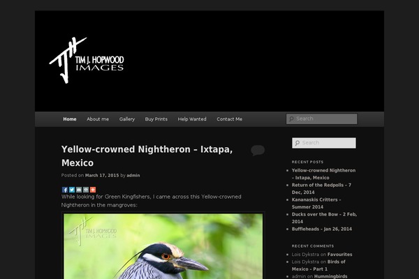 Twenty Eleven theme site design template sample