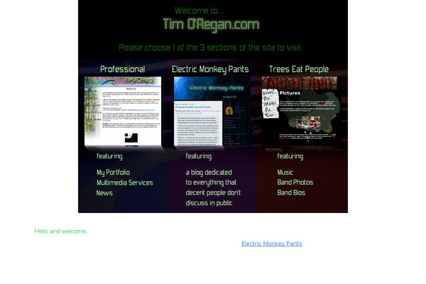 timoregan.com site used Colorful Paint