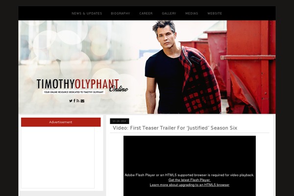 Ashe theme site design template sample