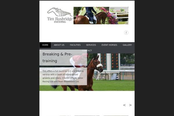 Catch Everest theme site design template sample