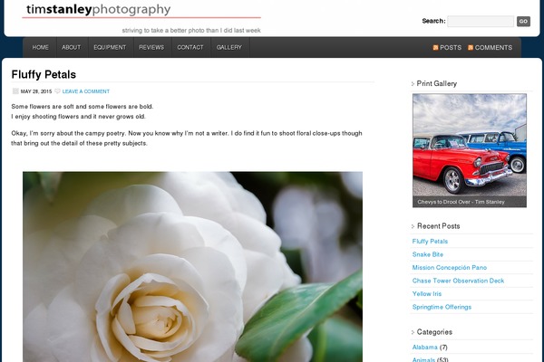 WordPress website example screenshot