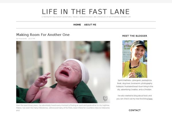 Lynette theme site design template sample