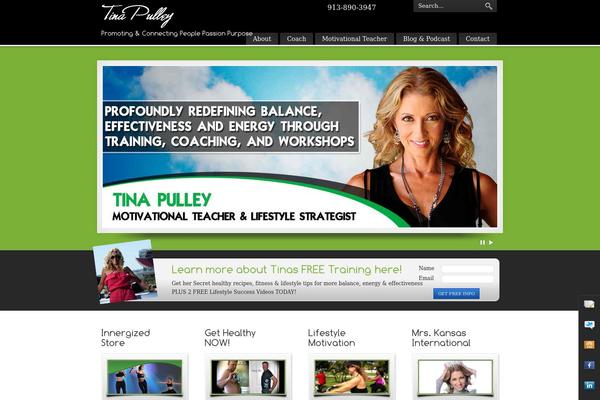 PureVISION theme site design template sample