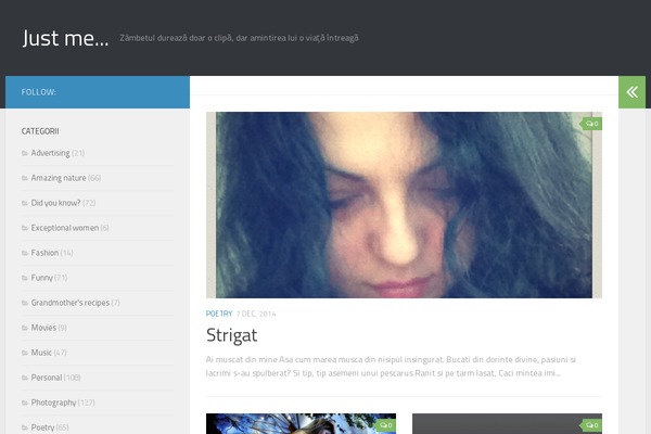 Site using Global Translator plugin