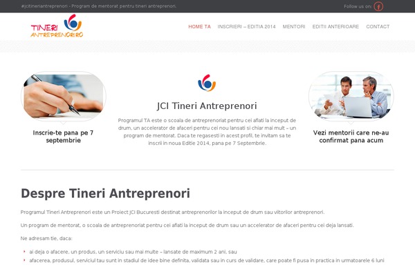 Flash theme site design template sample