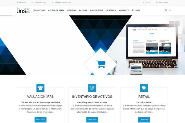 tinsamexico.mx site used Tinsa