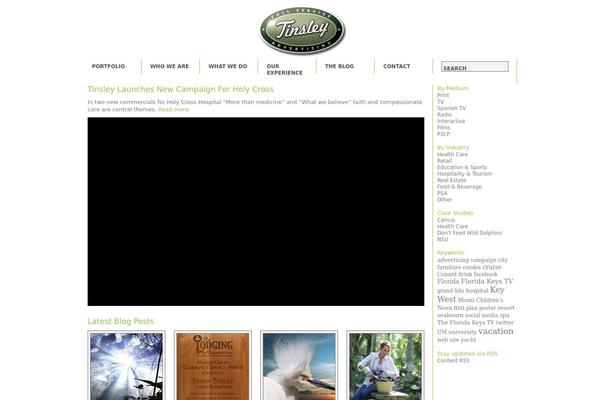 Videoflick theme site design template sample