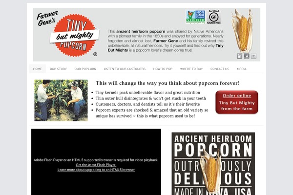tinybutmightyfoods.com site used Mx-theme