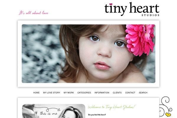 ProPhoto 3 theme site design template sample