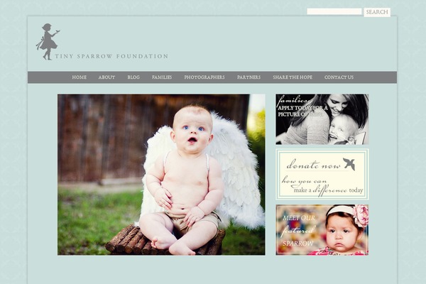 Site using IQ Testimonials plugin