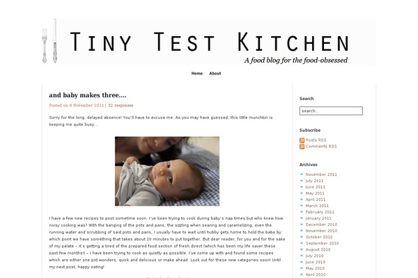SubtleFlux theme site design template sample