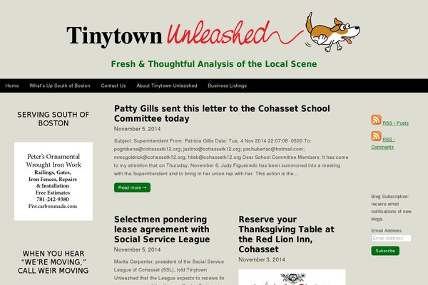 tinytownunleashed.com site used Magazine Premium