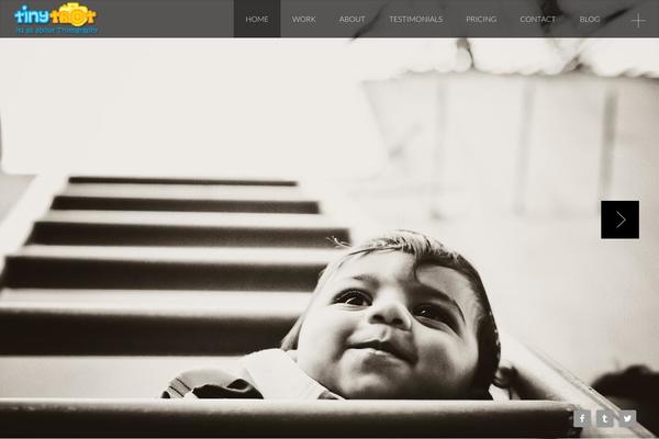 Site using Font Awesome More Icons plugin