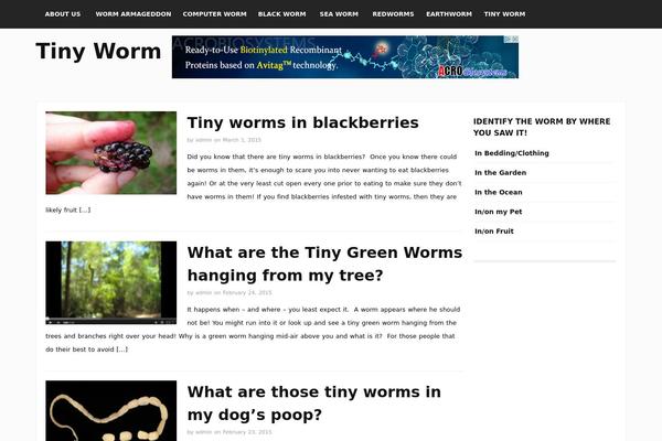 Jovial theme site design template sample