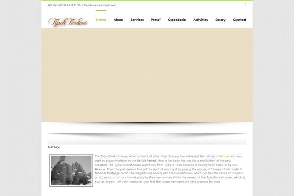 Avada theme site design template sample