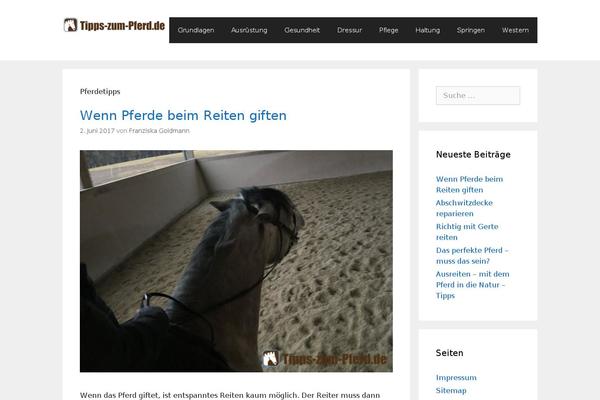 Site using Autoptimize plugin