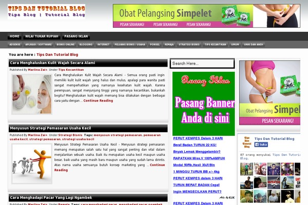 tipsdantutorialblog.com site used Magloss_v2