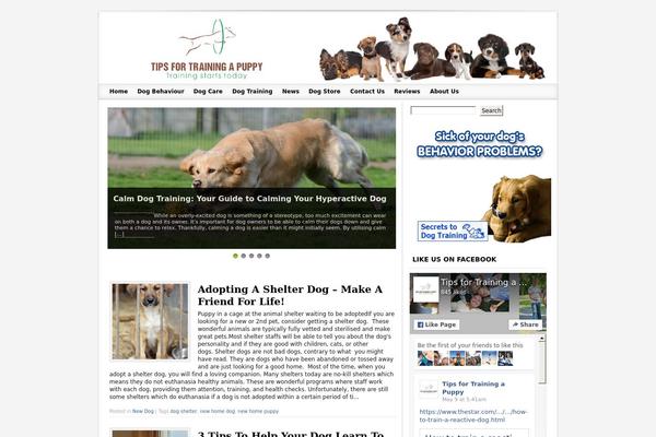 Socrates theme site design template sample