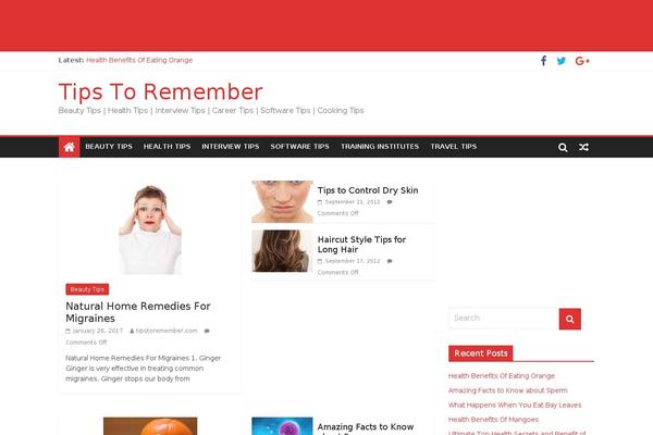 Padma Blog theme site design template sample