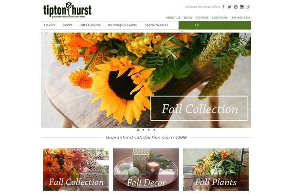 Site using Media Grid plugin