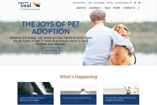 Site using Dp-portfolio-posts-pro plugin