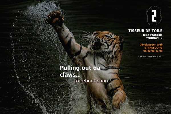 Blogum theme site design template sample