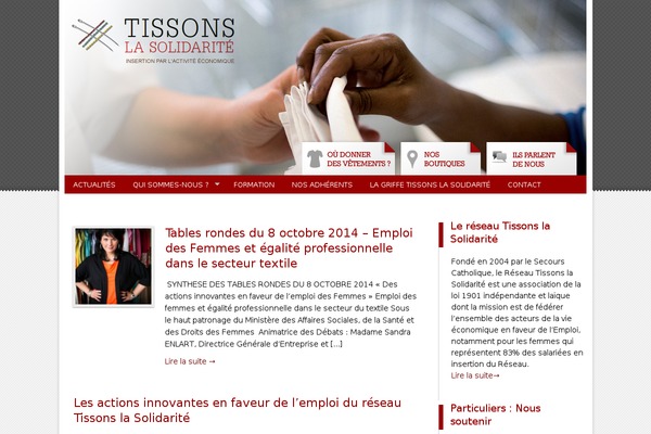 PageLines theme site design template sample