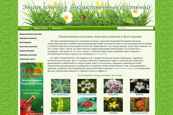 Ashe theme site design template sample