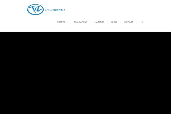 tiz theme websites examples