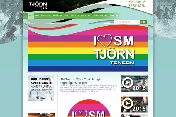 Tt theme site design template sample
