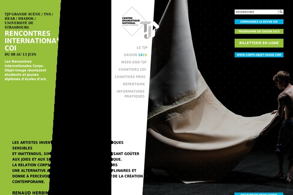 Site using Translatepress-business plugin
