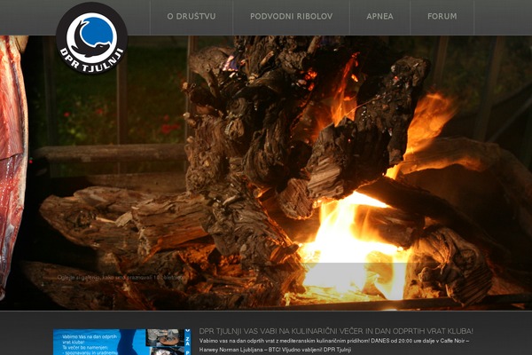 Site using Flickr Gallery plugin