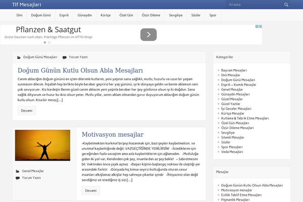 Rubine Lite theme site design template sample