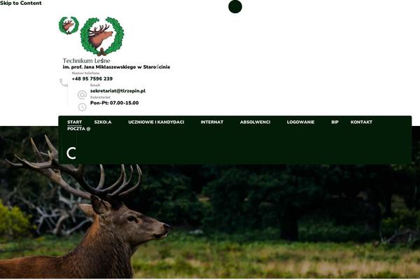 tlrzepin.pl site used Blossom-spa-pro