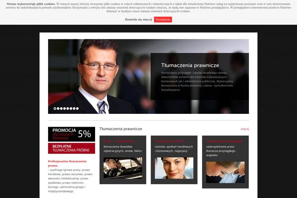 Solid Wp theme site design template sample