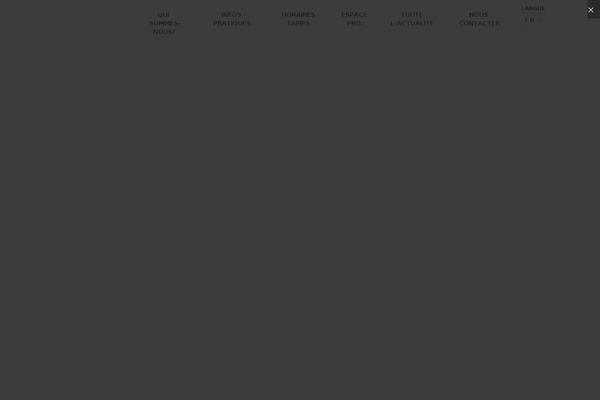 Site using WP Cloudy plugin
