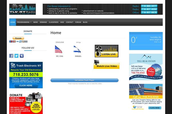 Adams theme site design template sample