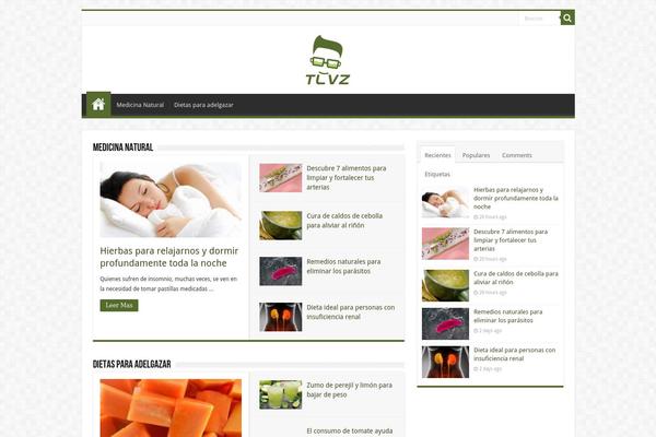 Voice theme site design template sample
