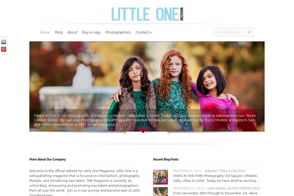 Evolution theme site design template sample