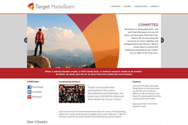 tmtinc.com site used Tmt