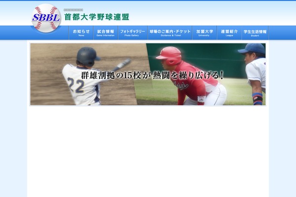 baseball theme websites examples