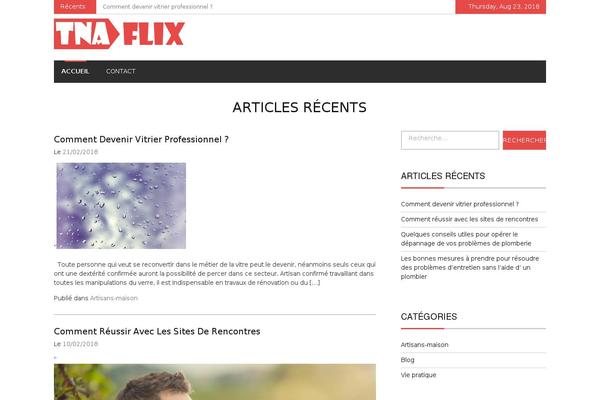 eMag theme site design template sample