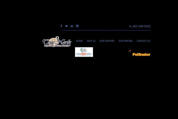 Site using WP Testimonials with rotator widget plugin