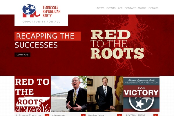 Srg_custom theme site design template sample