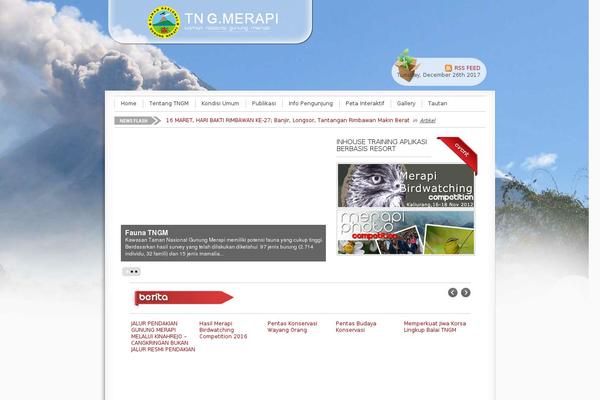 Site using WP Category Post List Widget plugin
