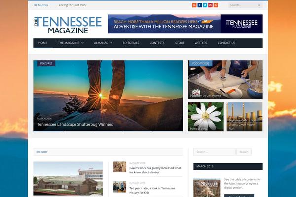 SmartMag theme site design template sample