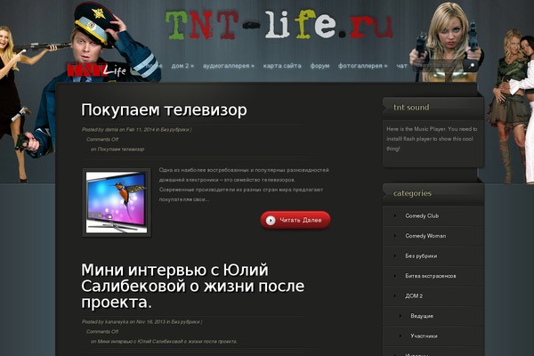 Site using Flash MP3 Player plugin