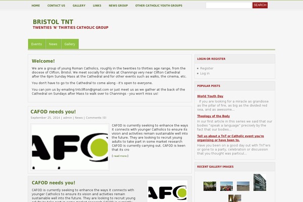PinkSimpleScheme theme site design template sample