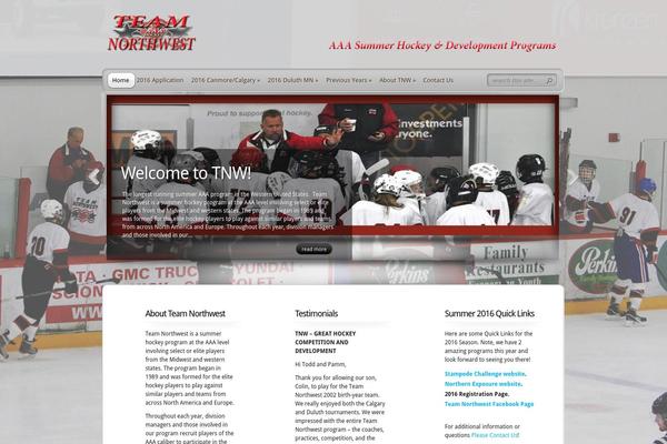 TheProfessional theme site design template sample
